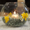 Glass Fishbowl Tealight Holder For Only $17.50