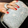 Queen Of The Night Silver Clutch