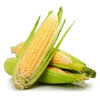Corn Loose (Each) For Only $1.49