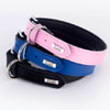 Dog Collars Now Available For Just $39.95 