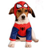 Classic Deluxe Marvel Spiderman Dog Costume