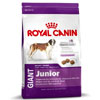 Shop Now Royal Canin Dog Food 