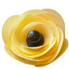 15% Off On Pre-Cut Edible Wafer Paper Flower Kit - Yellow x 3