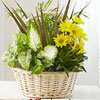 Spend $109.99 On Dish Garden With Fresh Cut Flowers
