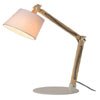 Lucide Olly Desk Lamp