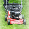 Make Your Garden Complete With Our Expert Lawn Care Services