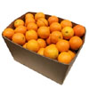 Oranges - Valencia (Case Sale, BOX 15KG)