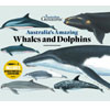 Photo Australia’s Amazing Whales and Dolphins For $19.95