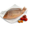 Red Snapper In Just RM 59 With Free Shipping