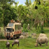 10% Off On Instant Tickets to Bali Safari And Marine Park