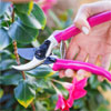 Pink Secateurs For Just $29.90