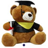 TT Seulgi Bear Graduation Slaber Yellow 10 Inch