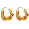 Get 30% Discount On Twist Hoops Earrings 