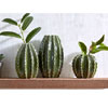 Cactus Shaped Green Small Vase 