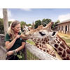 Take 24% Off On ZSL London Zoo Tickets 