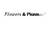 Flowers And Plants Co