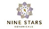 Nine Stars Online