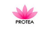 Protea Hair
