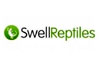 Swell Reptiles