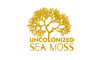 Uncolonized Sea Moss